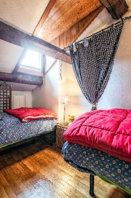 Loft Overlooking The Old Town . Feltre Dış mekan fotoğraf