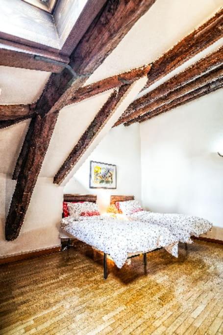 Loft Overlooking The Old Town . Feltre Dış mekan fotoğraf